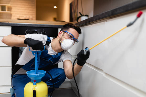 Best Exterminator Services  in Gibsonton, FL