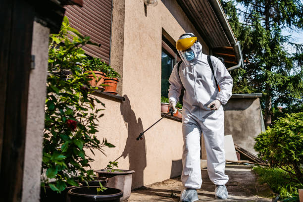 Best Pest Prevention Services  in Gibsonton, FL