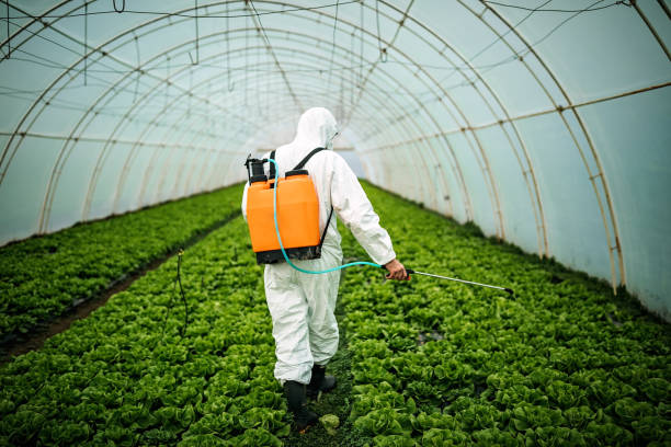 Best Pest Removal Services  in Gibsonton, FL