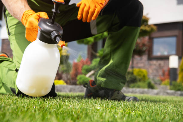 Wasp Removal Services in Gibsonton, FL