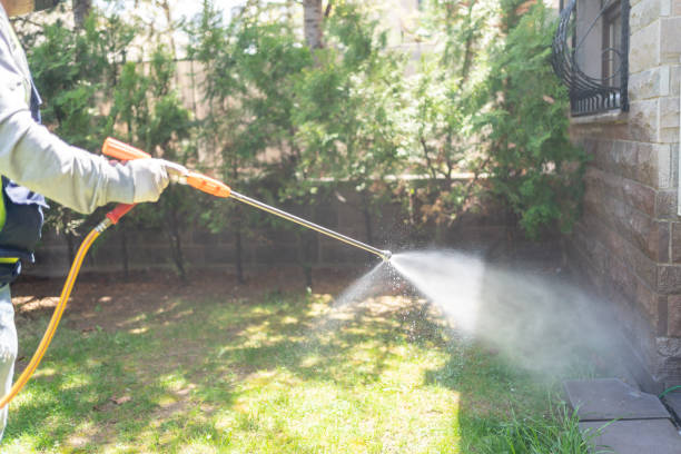Best Best Pest Control Companies  in Gibsonton, FL
