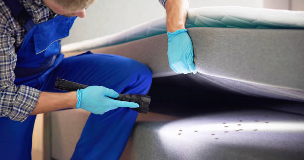 Gibsonton, FL Pest Control Company