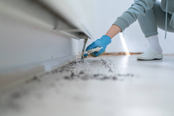 Best Commercial Pest Control Services  in Gibsonton, FL