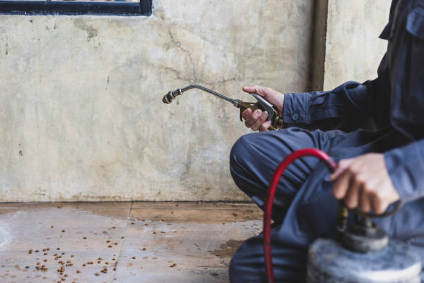 Best Affordable Pest Control Services  in Gibsonton, FL